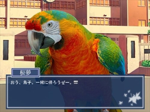 鳥愛学園　～鳥の取りあい～ Game Screen Shot4