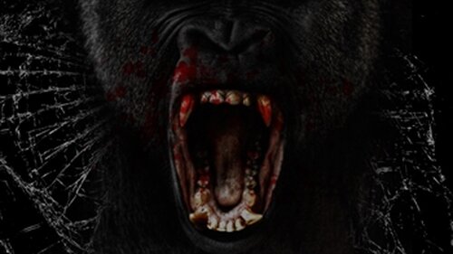 ゴリラのレクイエム３Ｄ(Requiem of a gorilla)（大猩猩的安魂曲） Game Screen Shot5