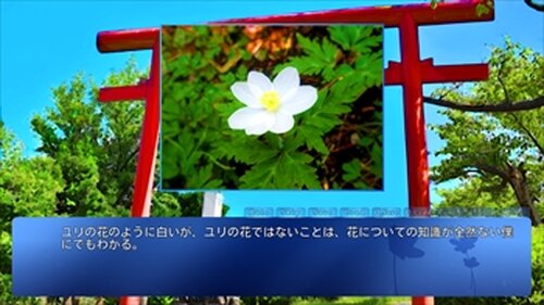 コトノ葉カナター体験版ー Game Screen Shot2