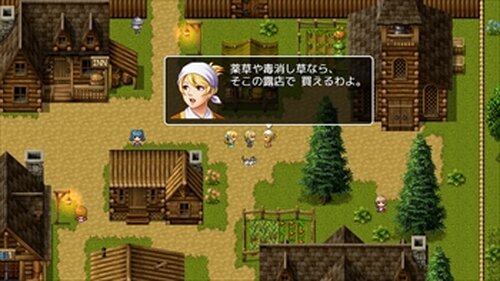 ガーディアン使いの冒険者 Game Screen Shot3