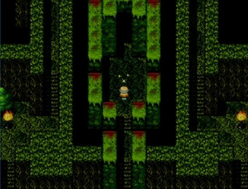 不気味の森のペトゥラ Game Screen Shot3