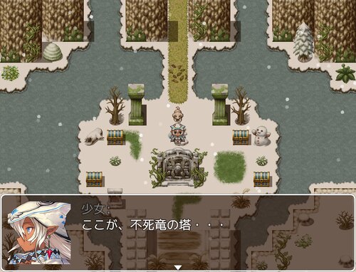 バルビューダと塔の竜たち Game Screen Shot