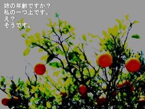 カイダン実ハ。