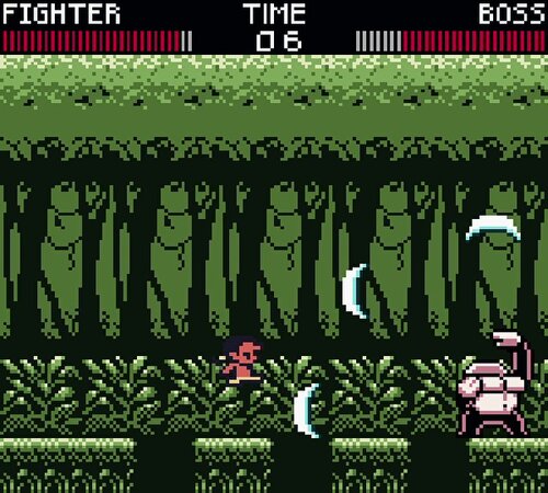 FIGHTER on the Path of GLORY Game Screen Shot4