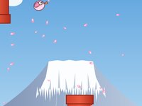 Fuji Flight ゲーム画面2