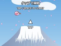 Fuji Flight