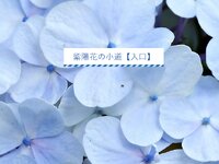 紫陽花の小道【入口】 ゲーム画面