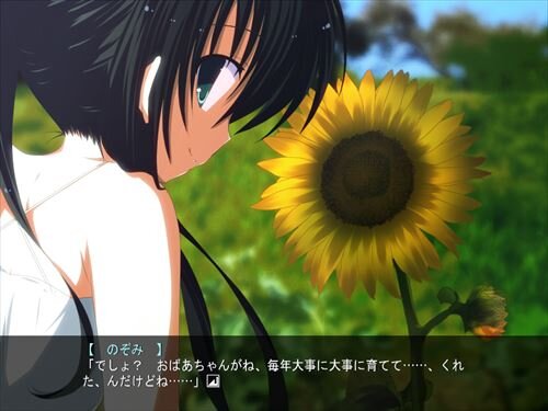 Summer Girl ―夏の少女とボク― Game Screen Shot1